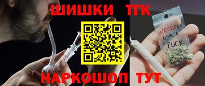 крисы Партизанск
