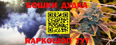 прущие крисы Пенза
