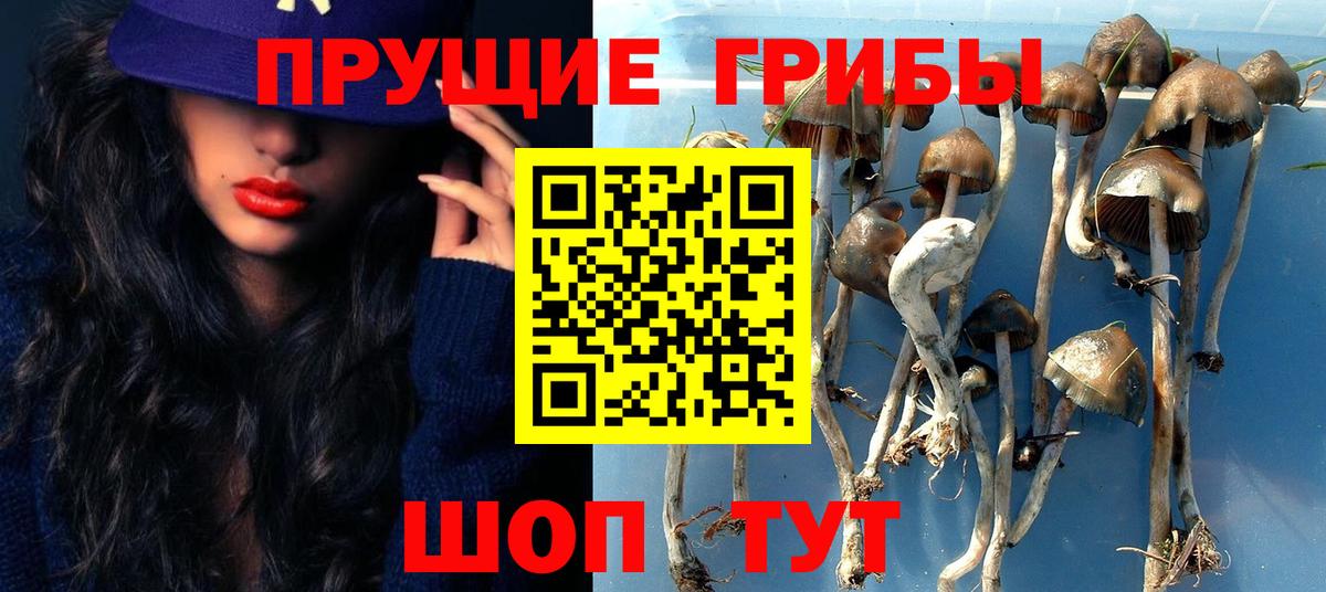 Галлюциногенные грибы мицелий  Вход с VPN  Галлюциногенные грибы мицелий  купить наркотик  Ревда 